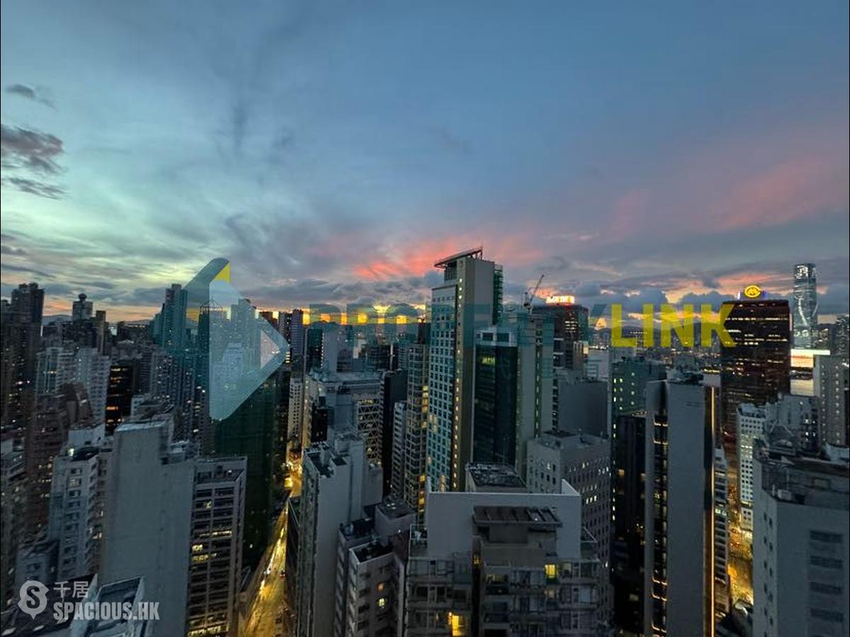 Central - Hollywood Terrace 01
