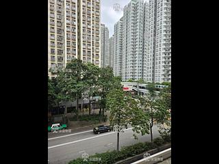 Tai Po - Treasure Garden 07