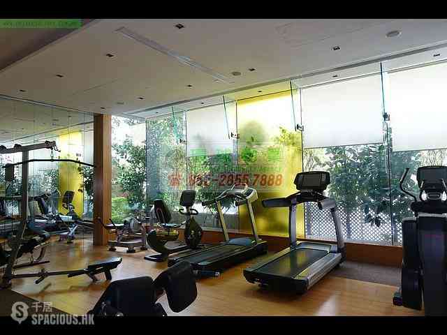 Kennedy Town - Belcher's Hill 27