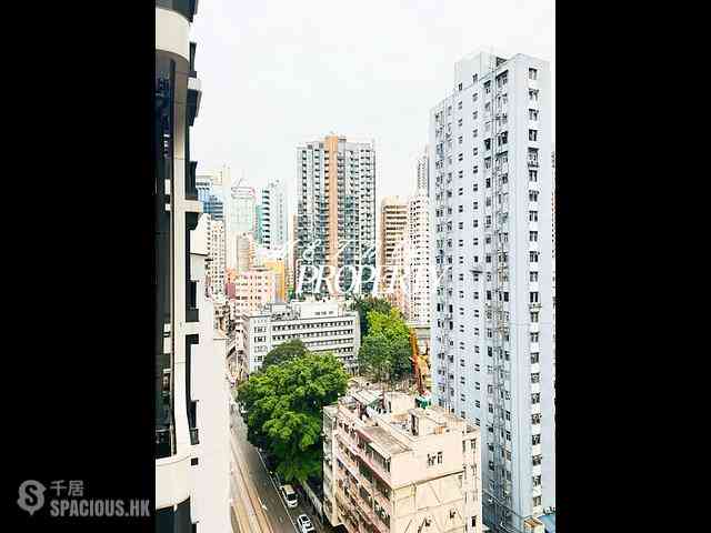 Sai Ying Pun - Bohemian House 08