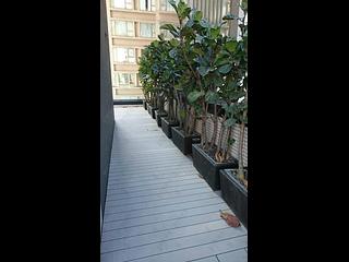 Sai Ying Pun - The Summa Block 2 12