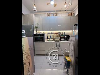 Discovery Bay - Discovery Bay Phase 10 Neo Horizon 03