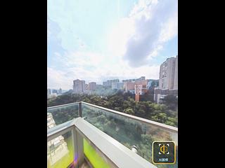 North Point - Lime Habitat 03