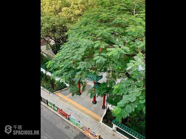 Poho - TwoTwoSix 05
