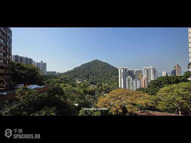 Pok Fu Lam - Mount Pokfulam 03