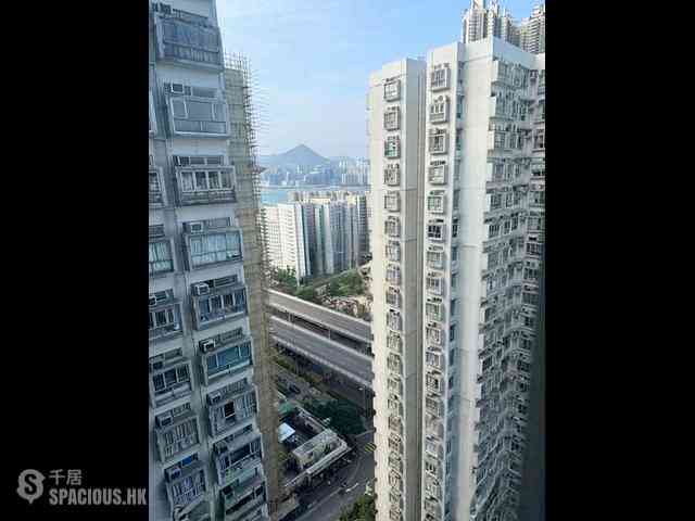 Sai Wan Ho - Felicity Garden 04