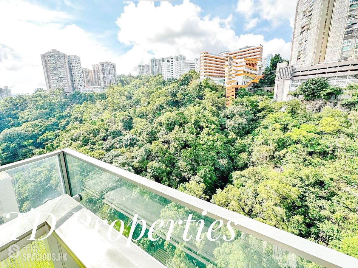 North Point - Lime Habitat 01