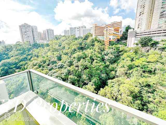 North Point - Lime Habitat 01