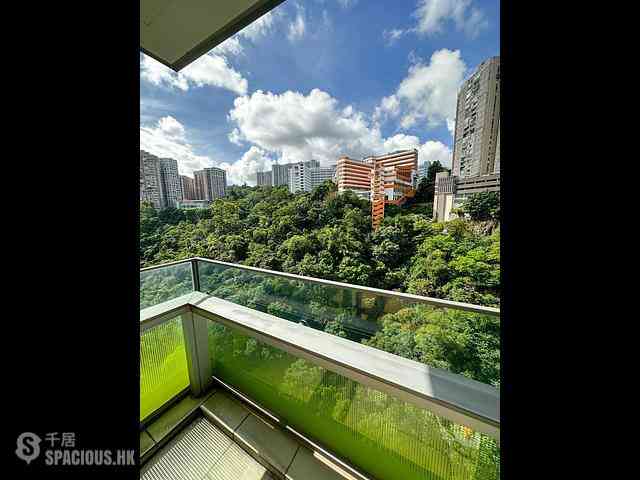 North Point - Lime Habitat 08