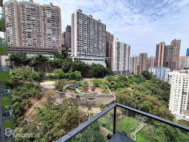 North Point - Lime Habitat 05