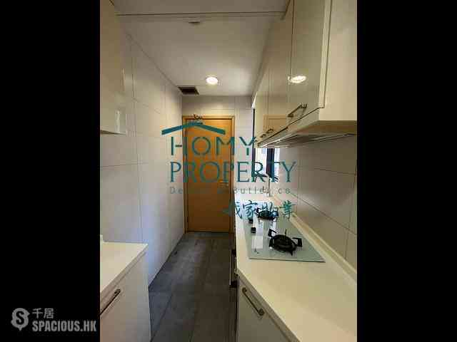 Sai Ying Pun - High Park 99 13