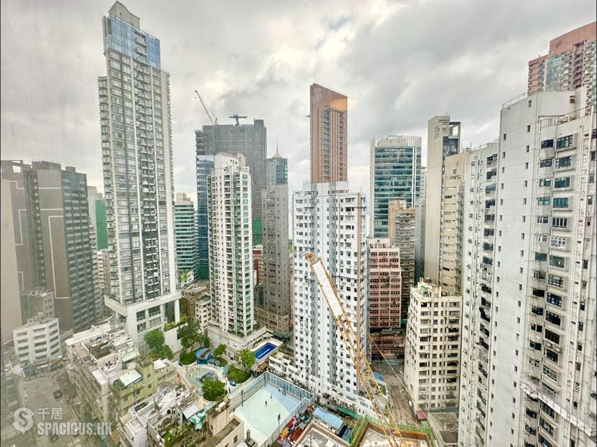 Sai Ying Pun - Macro Garden 01