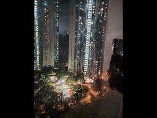 Sai Wan Ho - The Oakridge 09