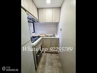 Poho - Rich View Terrace 04