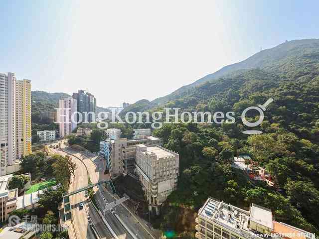 Shau Kei Wan - Lime Gala 02