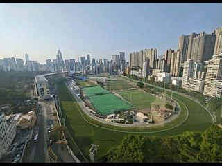 Happy Valley - Fortuna Court 03