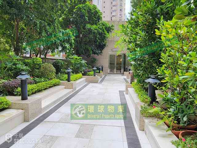 Kennedy Town - Belcher's Hill 29