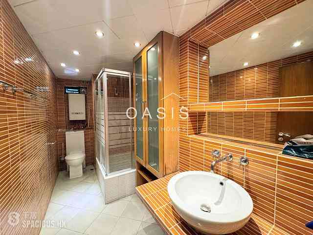 Mid Levels Central - Ivory Court 04