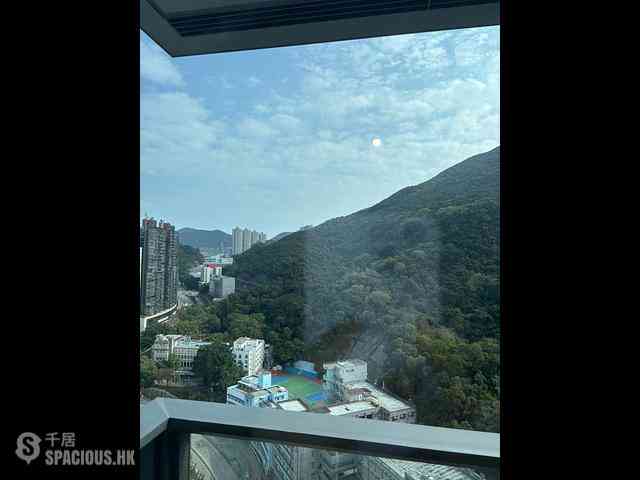 Shau Kei Wan - Lime Gala 01