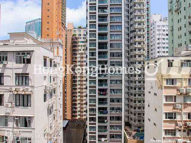 Happy Valley - Zenith Mansion 02