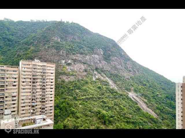 中半山 - 君德阁 14