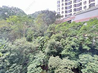 東半山 - 丰乐新邨B座 03