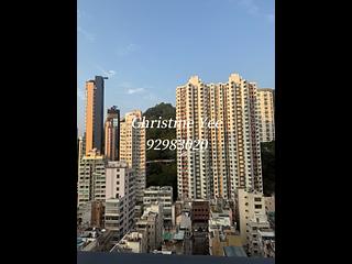 Tai Hang - Warrenwoods 05