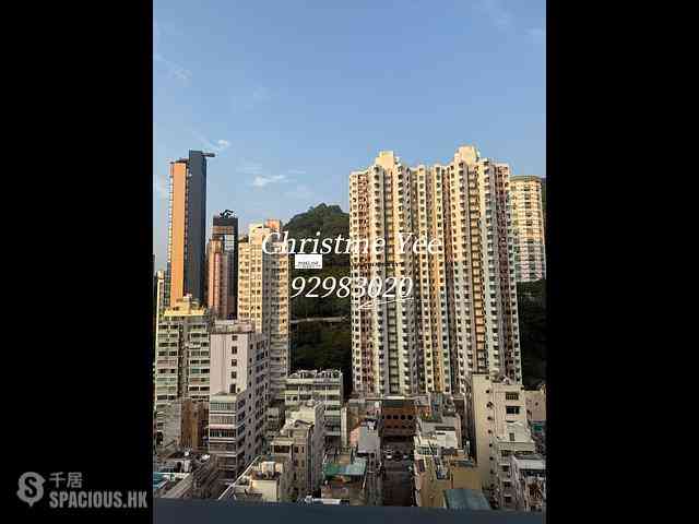 Tai Hang - Warrenwoods 05