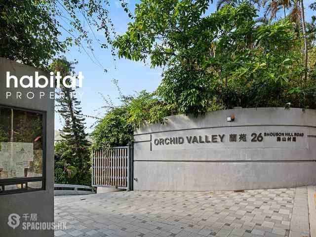 Shouson Hill - Orchid Valley 14