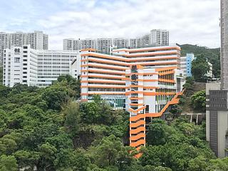 North Point - Lime Habitat 11
