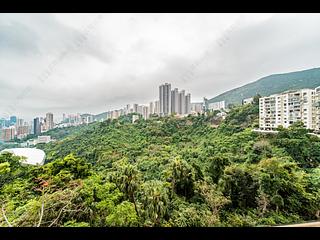 Happy Valley - Broadwood Park 11