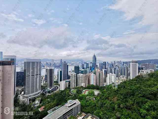 東半山 - 峰景花园 01