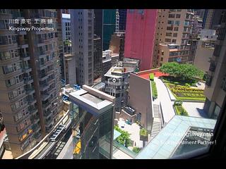 Central - Hollywood Terrace 08
