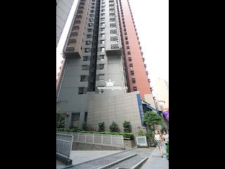 Central - Hollywood Terrace 11