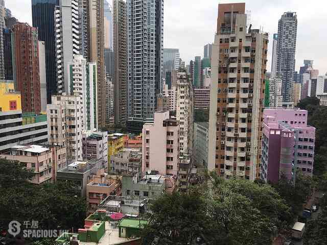 東半山 - 慧景台B座 12
