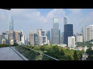 中半山 - 羅便臣道1號 11
