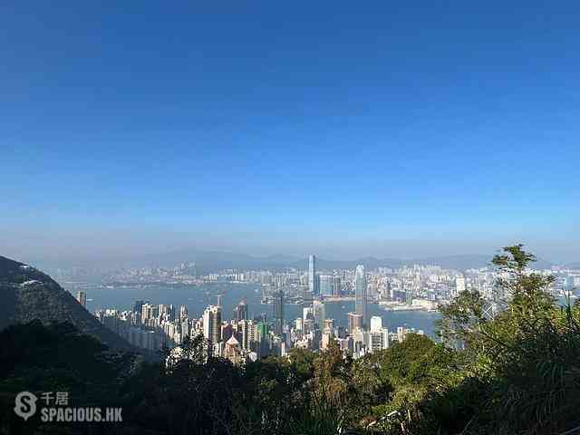 山顶 - 山景 种植道27号 01