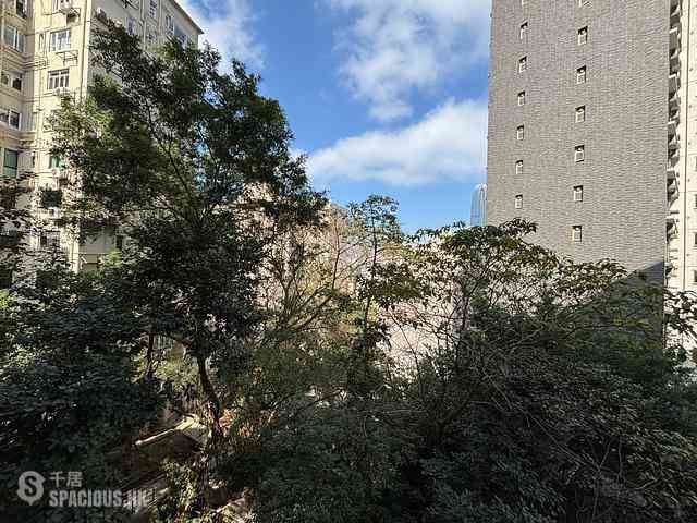 Mid Levels Central - Best View Court Block 66, Macdonnell Road 02