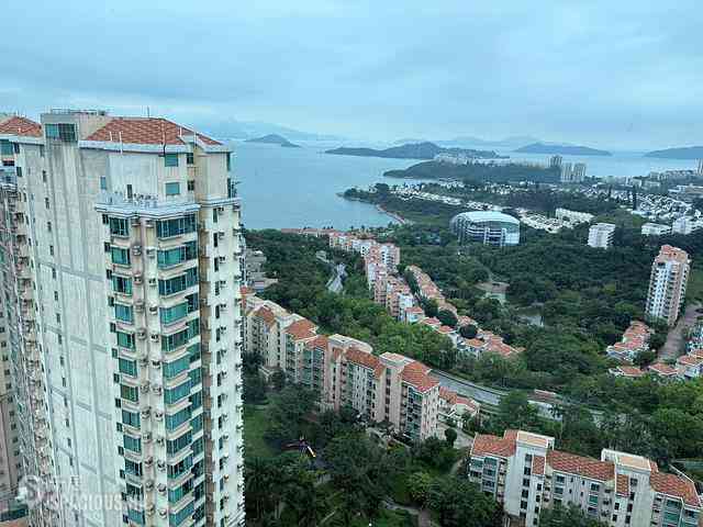 Discovery Bay - Discovery Bay Phase 10 Neo Horizon 24