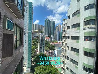 Poho - Rich View Terrace 04