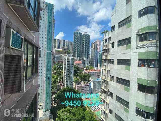 Poho - Rich View Terrace 04