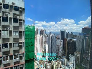Poho - Rich View Terrace 05