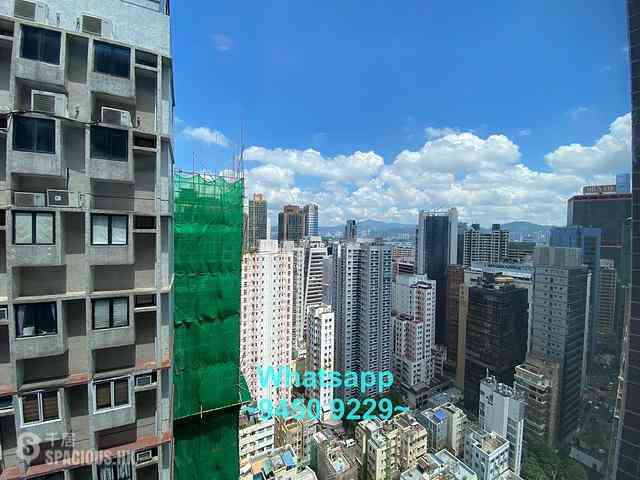 Poho - Rich View Terrace 05
