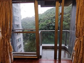 大坑 - 上林 07