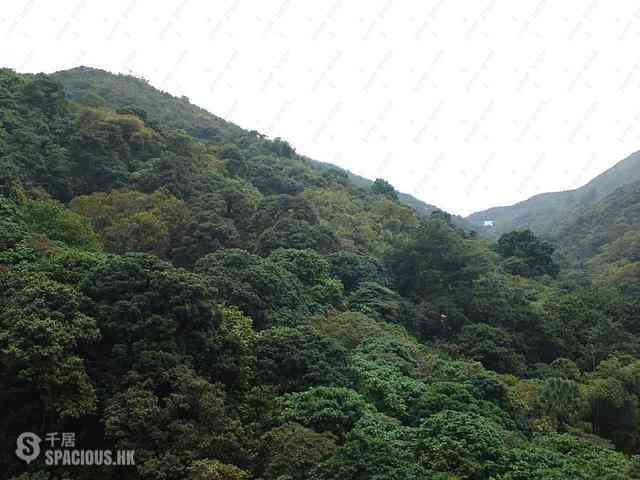 大坑 - 上林 09