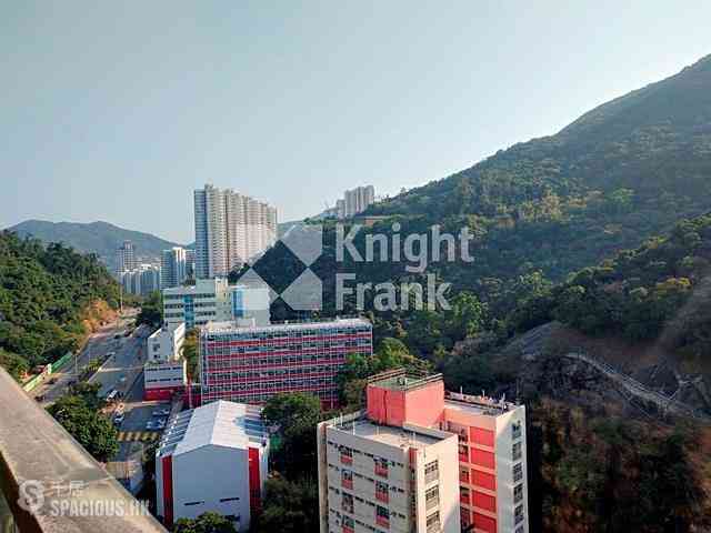 Shau Kei Wan - Island Garden 15
