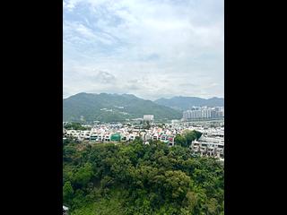 沙田 - 名日・九肚山 04