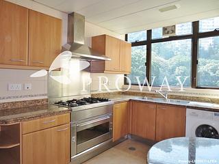 Mid Levels Central - Fairlane Tower 09