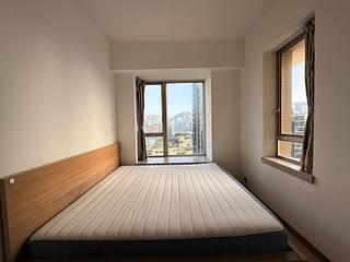 Tsim Sha Tsui - Harbour Pinnacle 02