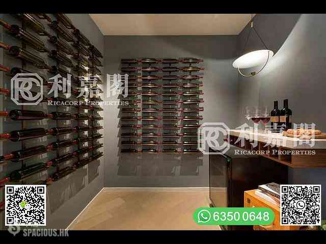 清水湾 - 傲泷 14